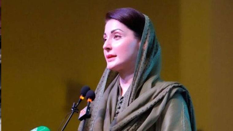 قبضہ مافیا کا خاتمہ؛ پنجاب میں پراپرٹی آرڈیننس منظور 