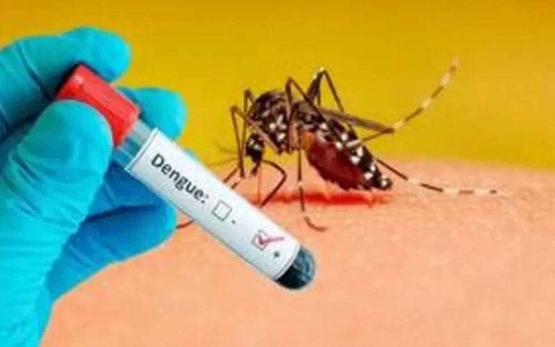 خیبرپختونخوا میں ڈینگی کی وبا بے قابو، کیسز کی تعداد 4 ہزار 836 تک جا پہنچی  