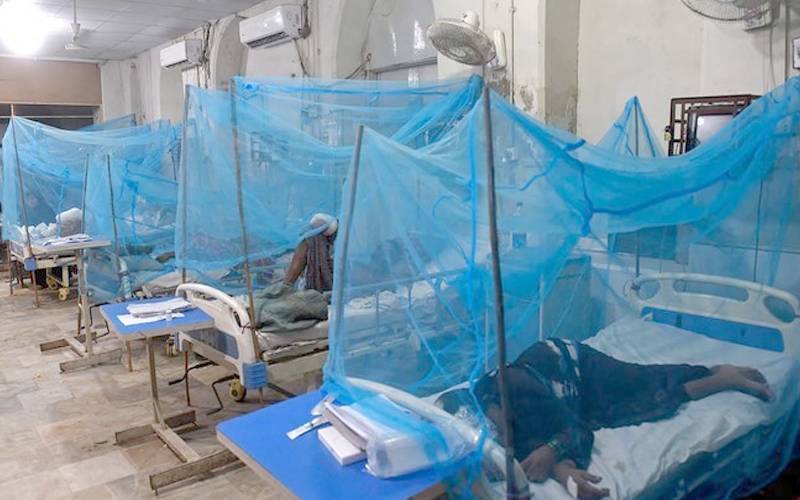 حیدرآبادمیں گزشتہ 24گھنٹوں کے دوران ڈینگی نے 5 جانیں لے لیں