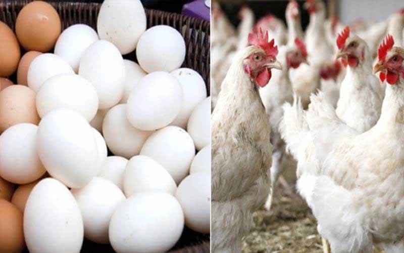 مہنگائی کی ستائی عوام کیلئے بری خبر، چکن اور انڈوں کی قیمتوں میں مزید اضافہ