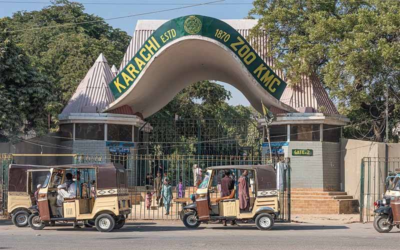 سندھ ہائیکورٹ نے چڑیا گھروں کو مرحلہ وار ختم کرنے سے متعلق اعلیٰ سطحی کمیٹی قائم کر دی