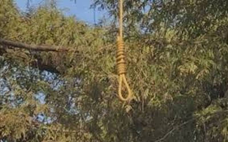 تھر پارکر :3 نوجوانوں کی پھندا لگی لاشیں برآمد 