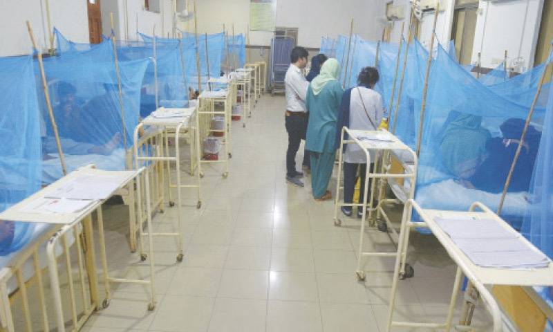  ڈینگی بخار کا شکار مزید 2افراد  انتقال کرگئے،کل مرنیوالوں کی تعداد 31 ہوگئی