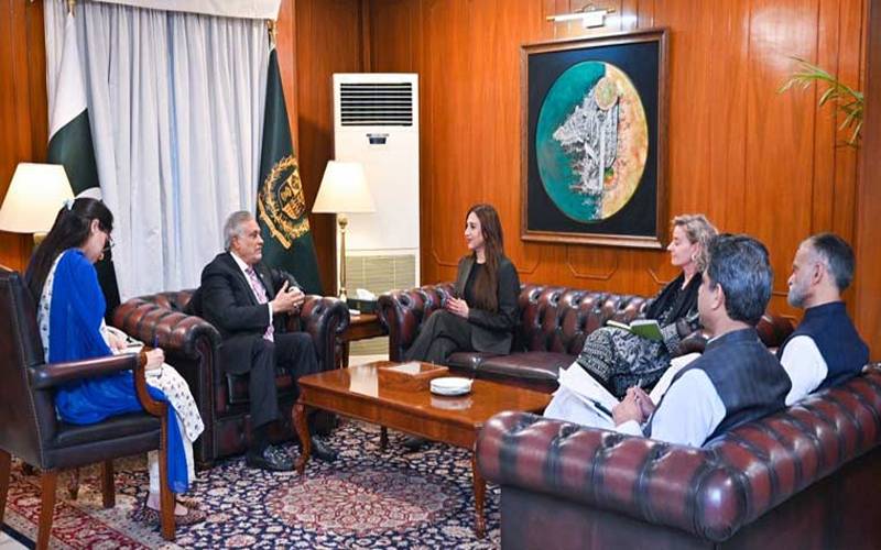 اسحاق ڈار سے امریکی ناظم الامور کی ملاقات، مختلف اُمور پر تبادلہ خیال