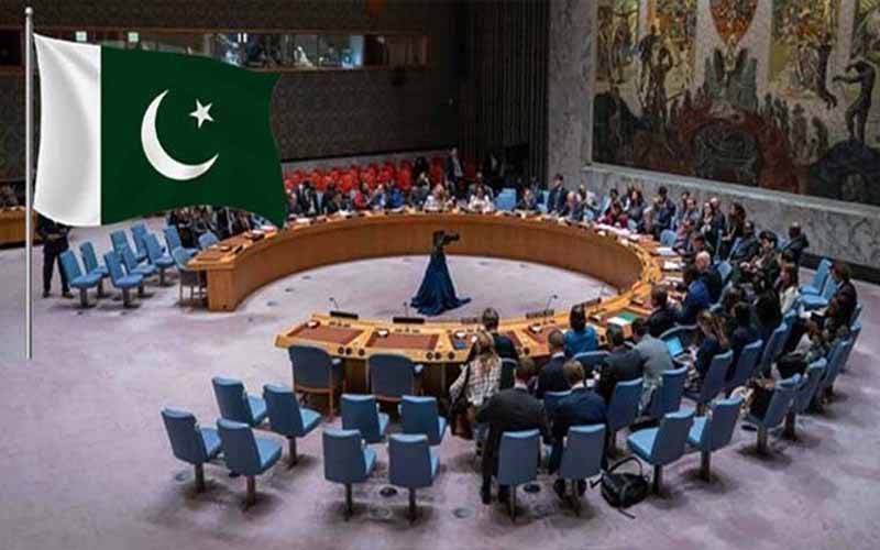 اقوام متحدہ : پاکستان کی قرارداد برائے حق خود ارادیت متفقہ طور پر منظور 