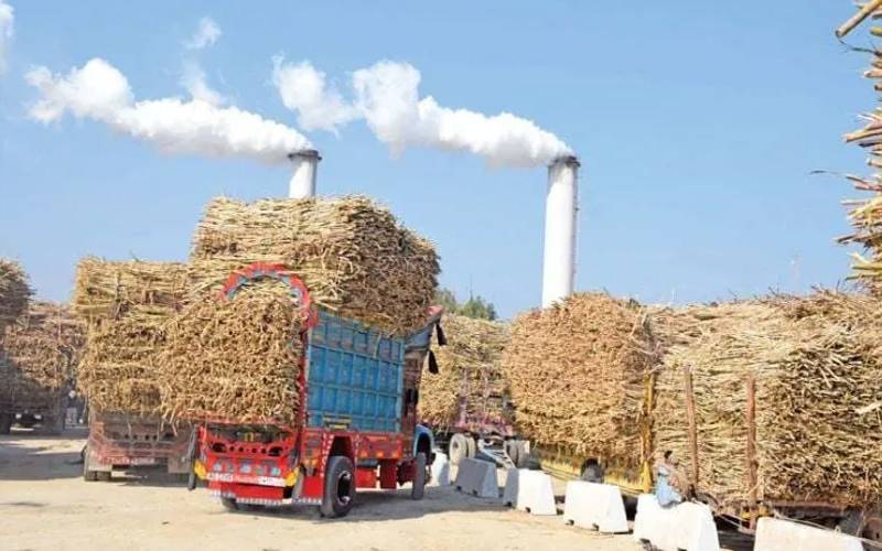 پنجاب کی تمام 41 شوگر ملز نے کرشنگ کا آغاز کردیا 