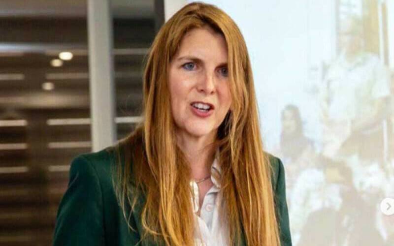 برطانوی ہائی کمشنر کا برطانوی ویزا سے متعلق پاکستانیوں کو مشورہ