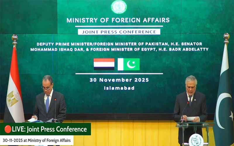 پاکستان اور مصر کا دفاع، معیشت اور دیگر شعبوں میں تعاون بڑھانے پر اتفاق
