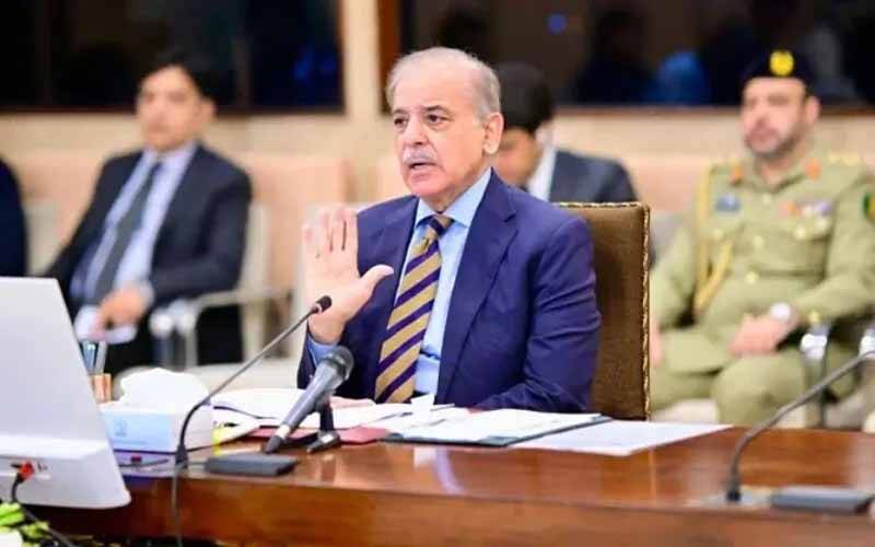 ملکی صنعتی پیداوار اور تجارت میں اضافے کیلئے مسائل کی نشاندہی ناگزیر ہے:شہباز شریف