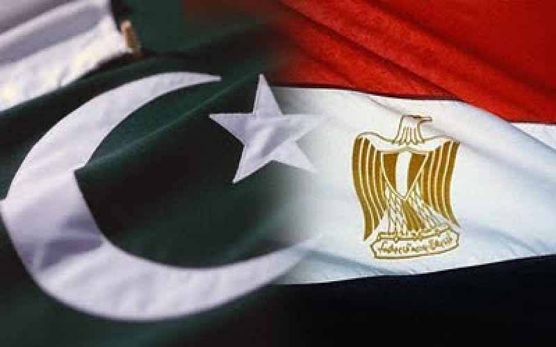 پاکستان اور مصر کا مشترکہ معاشی لائحہ عمل پر اتفاق