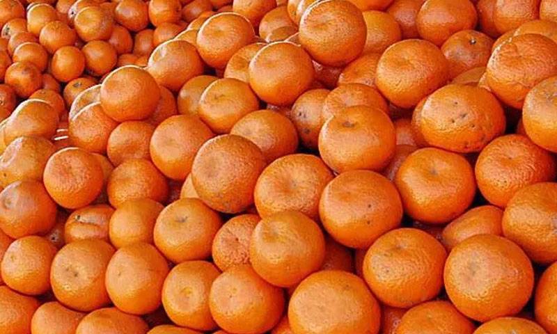 پاکستان سے کینو کی برآمدات ، 3 لاکھ ٹن کا ہدف