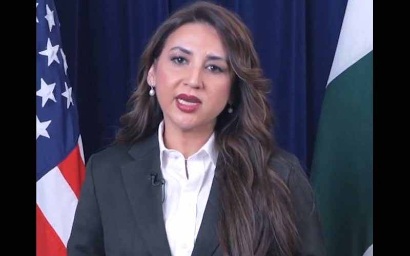 امریکا کے ایگزم بینک کا پاکستان میں 1.25 ارب ڈالر کی سرمایہ کاری کا اعلان