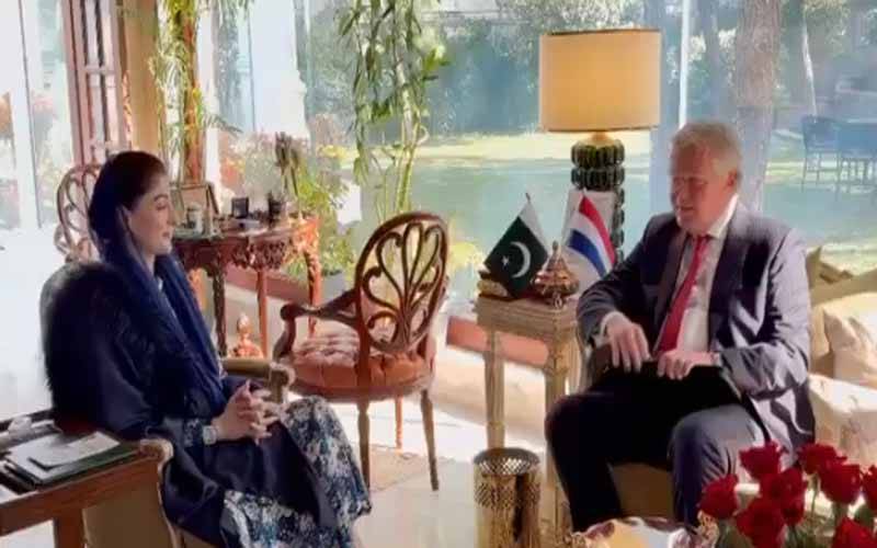 وزیرِ اعلیٰ پنجاب سے نیدرلینڈز کے سفیر  کی ملاقات، تجارت،تحقیقی تعاون بڑھانے پر اتفاق