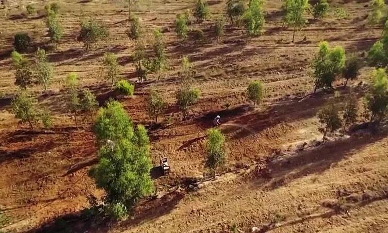 بیٹے کی یاد،جناردن سنگھ کی مسلم قبرستان کیلئے زمین عطیہ کرنے کی شاندار مثال