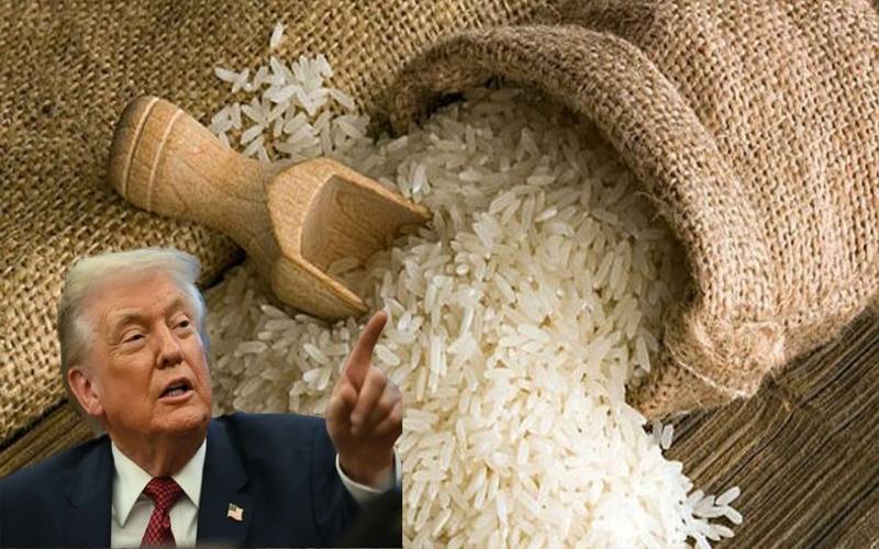باسمتی چاول کی ڈمپنگ ، بھارتی حکام صدر ٹرمپ کے الزام پر تلملا اٹھے