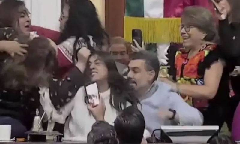 میکسیکو سٹی کی اسمبلی میں خواتین اراکین میں جھگڑا، بال کھینچے، تھپڑ مارے، ویڈیو وائرل
