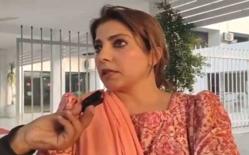 میرے سوال پر علیم خان بھڑک اٹھے اور جواب نہیں دیا:پلوشہ خان 