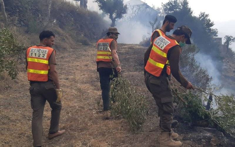 ہزارہ ڈویژن کے گھنے جنگلات میں شدید آگ بھڑک اٹھی، متعدد علاقوں کو لپیٹ میں لے لیا