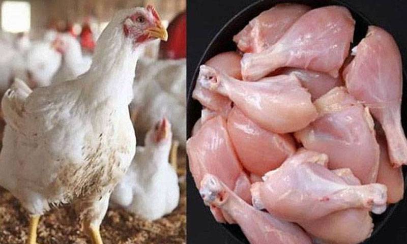 کراچی میں مرغی کے گوشت کی قیمتیں آسمان سے باتیں کرنے لگیں 