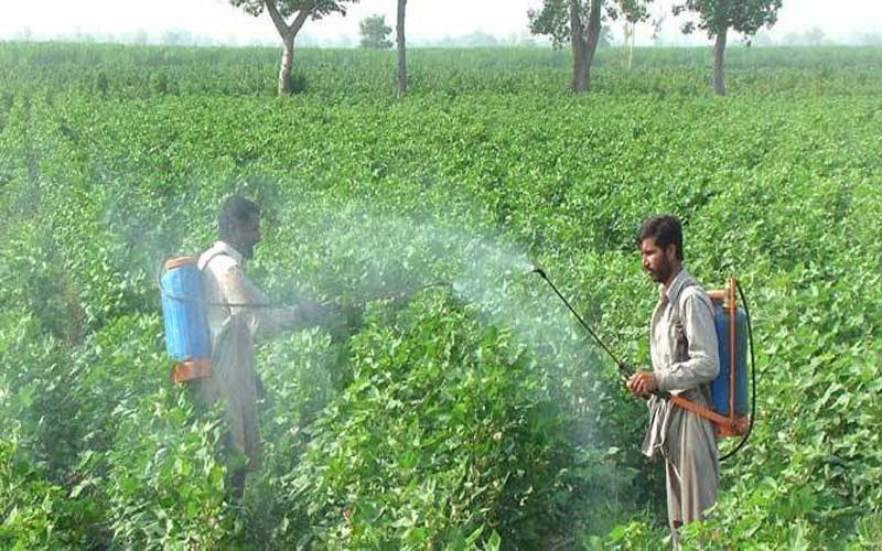 زرعی ادویات کی مارکیٹ میں سنگین خامیوں کی نشاندہی