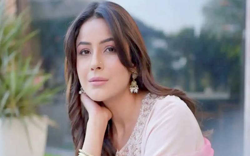 شہناز گل مقبول پاکستانی ڈرامے کے او ایس ٹی کی مداح نکلیں