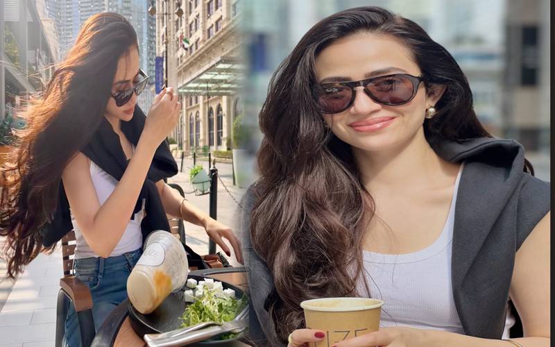 ’’میں اپنامیاں نہیں دے سکتی‘‘، صارفین نے ثنا جاویدکوکھری کھری سنادیں