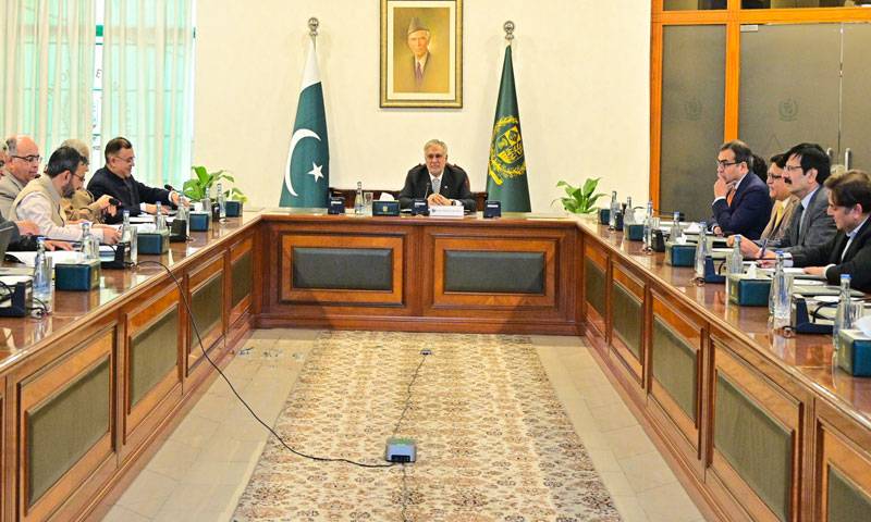 غیرملکی سرمایہ کاری کا مقصد تجارتی سرگرمیوں کو فروغ دینا ہے:نائب وزیراعظم