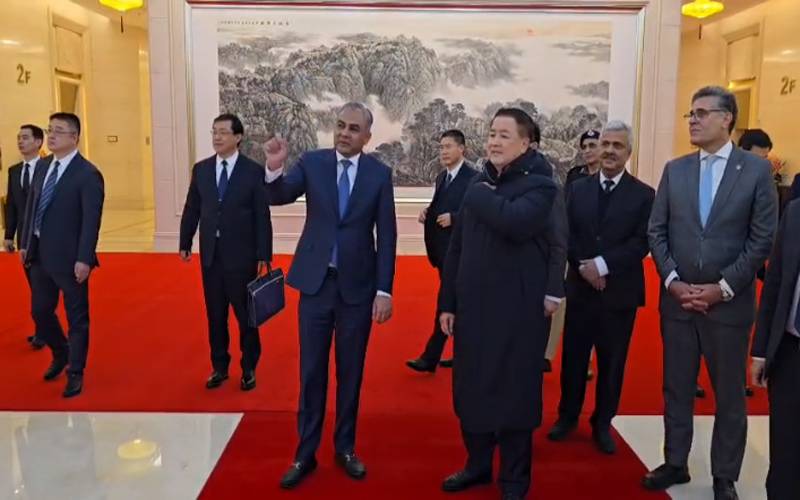وزیر داخلہ محسن نقوی کی چینی ہم منصب سے ملاقات، مشترکہ ورکنگ گروپ کی ہر3 ماہ بعد میٹنگ پراتفاق