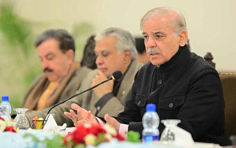خوارج کو ہمسایہ ملکوں کی سپورٹ حاصل ہے، دہشتگردی کے خاتمے تک چین سے نہیں بیٹھیں گے: شہبازشریف