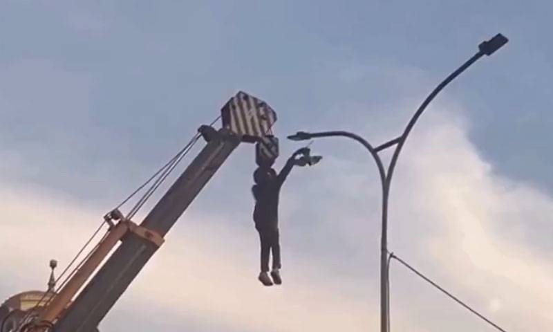  پرندے کو بچانے کیلئے نوجوان نے اپنی جان خطرے میں ڈال دی ، ویڈیو وائرل