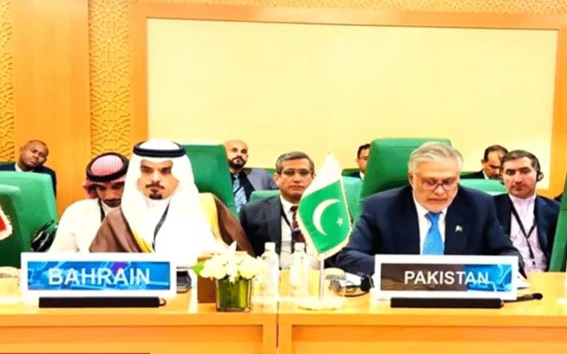 فلسطین اور صومالیہ میں استحکام کیلئے عالمی تعاون ضروری ہے،اسحاق ڈار 