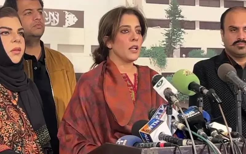 جعلی آرڈیننس لاکر صدر زرداری کے ساتھ باریک واردات ڈالی گئی: پلوشہ خان