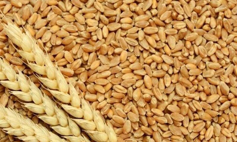 گندم کے ریٹس میں 700 روپے فی من اضافہ 