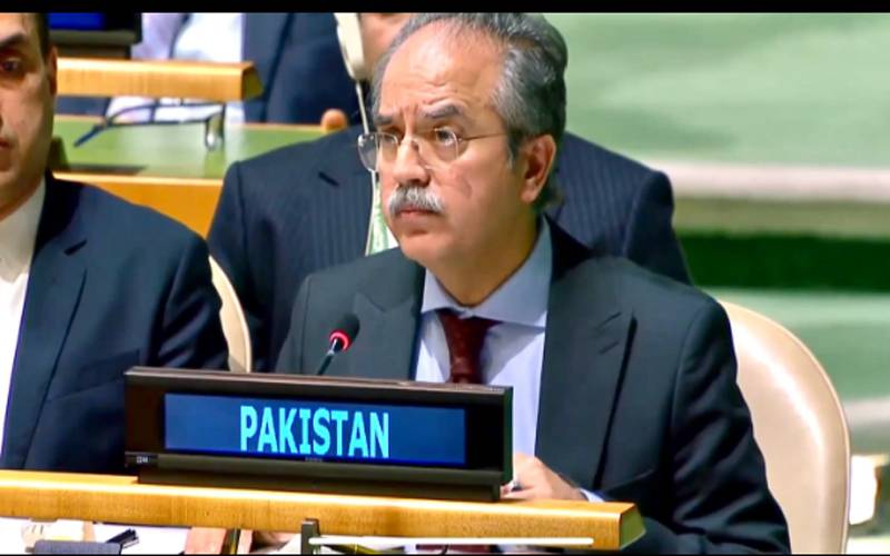 عالمی قوانین کے تحت مسئلہ فلسطین اور کشمیر کا حل ضروری ہے: پاکستان