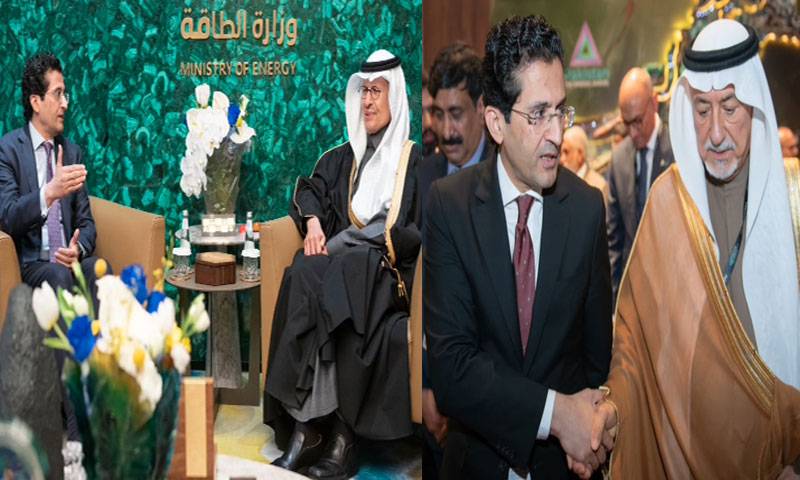 وزیر توانائی علی پرویز ملک کی سعودی وزرا سے اہم ملاقاتیں