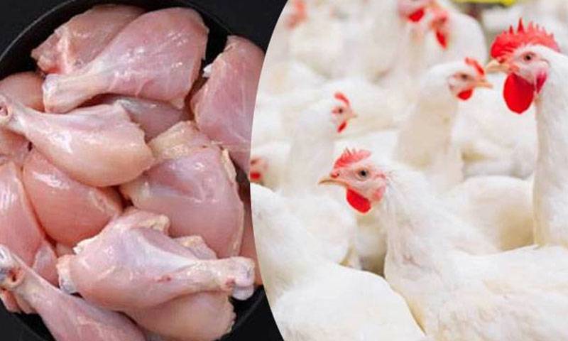 برائلر گوشت کی قیمتوں میں اضافےکا سلسلہ جاری