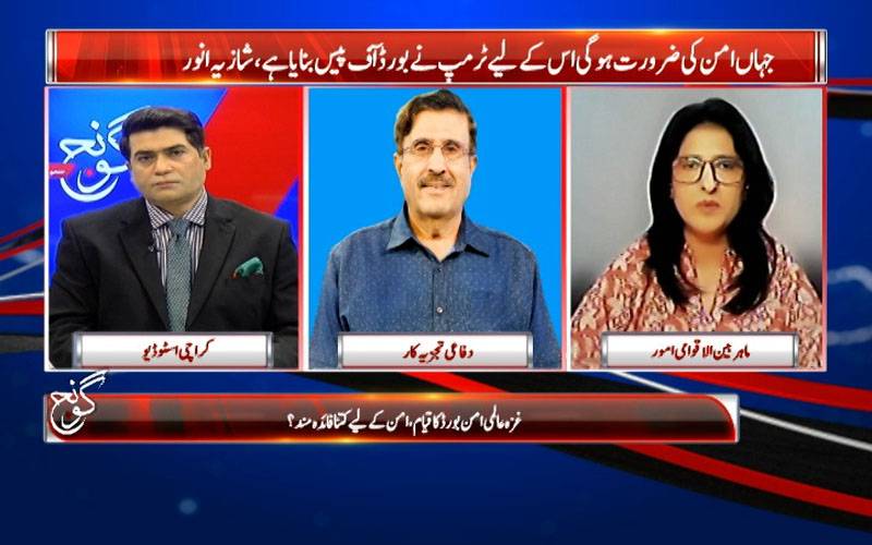 ٹرمپ بورڈ آف پیس کے ذریعے دنیا میں امن پھیلائیں گے: ڈاکٹر شازیہ انور 