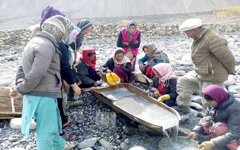  زمین سے سونا اگلنے لگا،لوگوں کوبہترین روزگارمل گیا