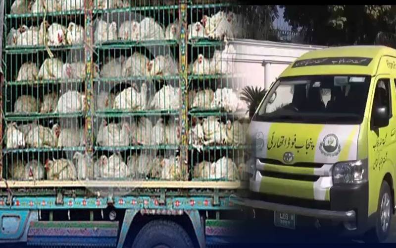 پنجاب فوڈ اتھارٹی کی کاروائیاں، 25 من مردہ مرغیاں، ساڑھے 3 من گائے و بکرے کا گوشت تلف 