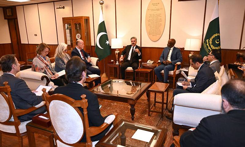  چیف جسٹس سپریم کورٹ کےیحییٰ آفریدی سے اقوام متحدہ کے وفد کی ملاقات