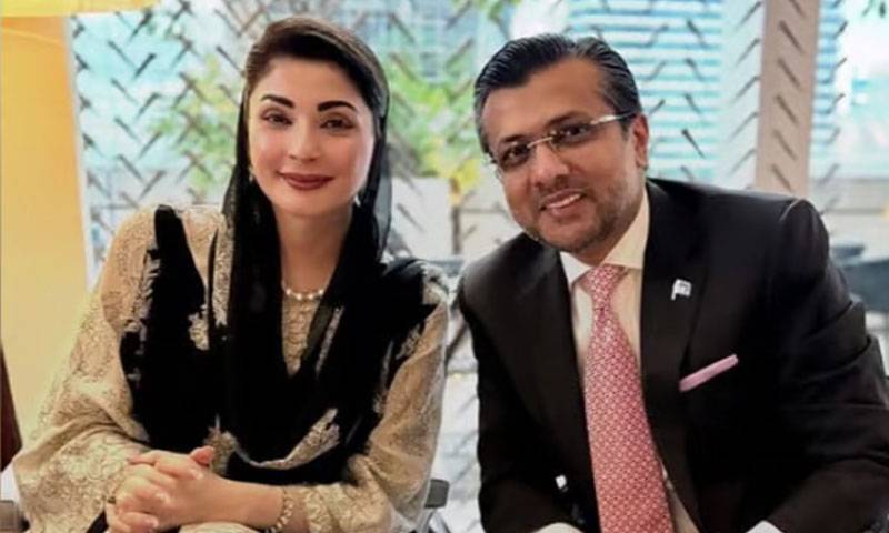 اسحاق ڈار کے صاحبزادے علی مصطفیٰ ڈار، وزیراعلیٰ پنجاب کے ایڈوائزر تعینات 