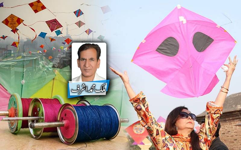  بسنت کی ڈور، ایک پرندہ اور ریاستی ذمہ داری