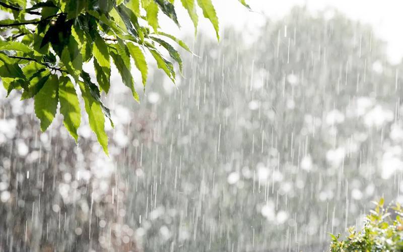 یکم رمضان المبارک کو بارش کا امکان،محکمہ موسمیات نے پیشگوئی کردی 