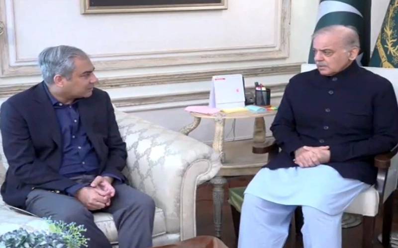 وزیراعظم سے وفاقی وزیر داخلہ محسن نقوی کی ملاقات، ملکی سیکیورٹی صورت حال پر تفصیلی بریفنگ 