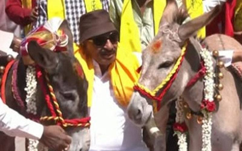 بھارت میں ویلنٹائن ڈے پر گدھوں کی شادی ،سوشل میڈیا صارفین کے دلچسپ تبصرے 