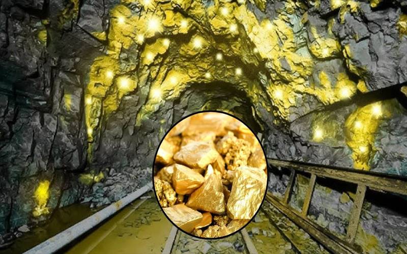    پاکستان میں سونے کے کتنے ذخائر ہیں اور ان کی مالیت کیا ہے؟ تفصیلات جاری