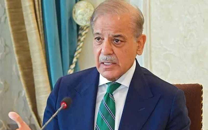 فلسطین میں امن کیلئے دو ریاستی حل ناگزیر ہے ،وزیر اعظم شہبازشریف