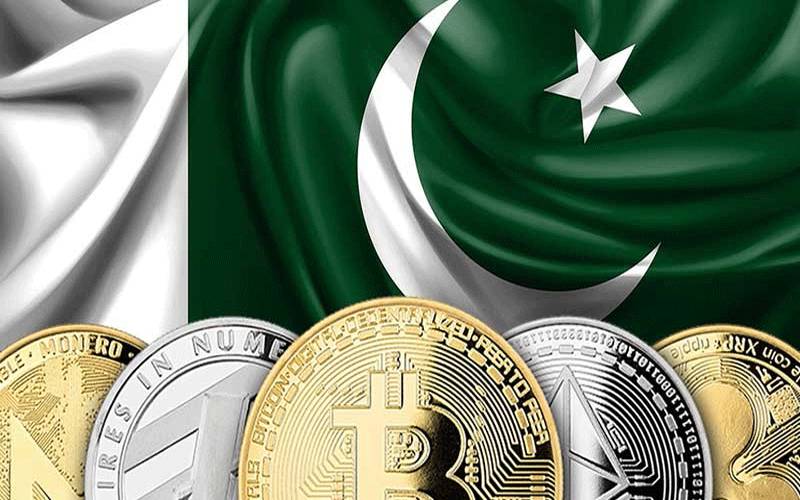  ڈیجیٹل شعبے میں تاریخی پیش رفت، پاکستانی فری لانسرز نے 557 ملین ڈالر کما لیے