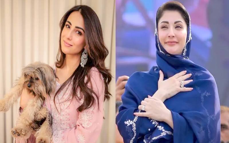  جانوروں کیساتھ ناروا سلوک روکنے کیلئے اشنا شاہ کا وزیراعلیٰ پنجاب کو خط