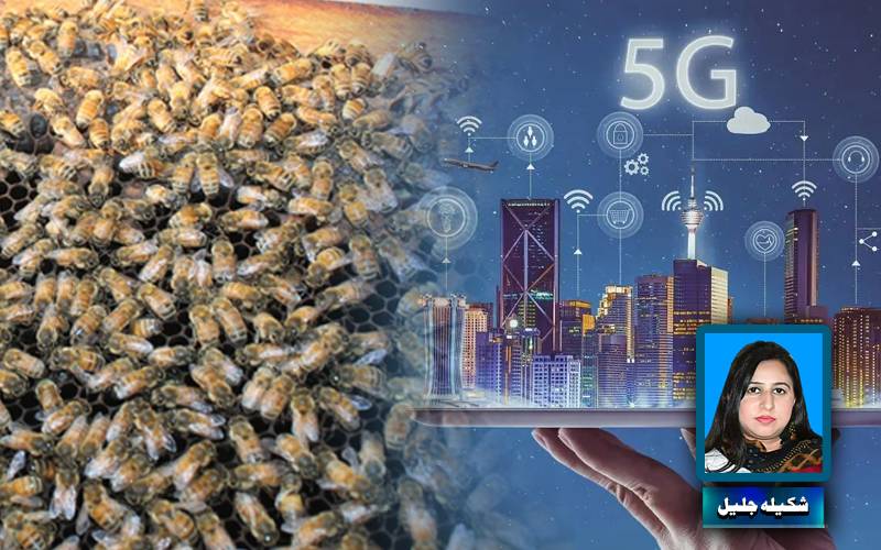 پاکستان میں 5G ڈیجیٹل ترقی یا شہد کی صنعت کا زوال 
